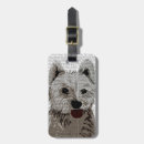 Buscar animales accesorios Terrier
