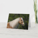 Buscar cabeza de caballo tarjetas Animal