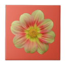 Buscar dali azulejos Jardín