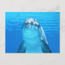 Buscar delfín en agua azul postales Océano