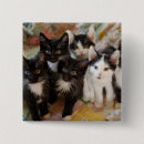 Buscar smoking chapas Gatito