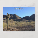Buscar arizona postales Cacti