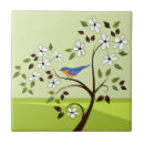 Buscar pájaros azules azulejos Aves