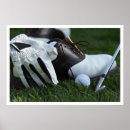 Buscar pelota de golf posters Club