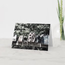 Buscar buzón tarjetas Correo