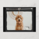 Buscar corazones postales Para mascotas