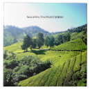 Buscar malasia azulejos Paisaje