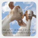 Buscar cabras pegatinas General y unisex