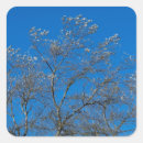 Buscar alba pegatinas Naturaleza