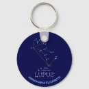 Buscar lupus llaveros Lobo