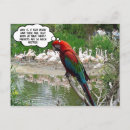 Buscar celos postales Envidia