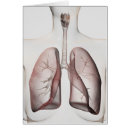 Buscar laringe postales Asistencia sanitaria