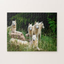 Buscar lobo salvaje puzzles Vida silvestre