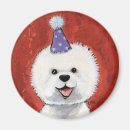 Buscar frise imanes Frise del bichon