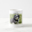 Buscar shihtzu tazas Para todos