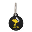 Buscar mascotas Leña