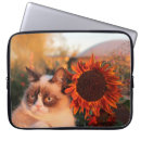 Buscar gruñón fundas Gato