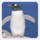 Buscar kevin pegatinas Animal