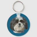 Buscar shih tzu accesorios Negro