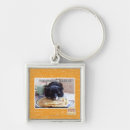 Buscar mina llaveros Puedo tengo cheezburger