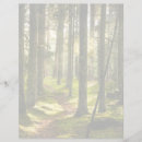 Buscar bosque boreal Árbol