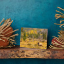 Buscar colorado placas fotograbadas Desatino