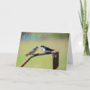 Buscar adaptable de la tarjetas Pájaro