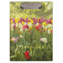 Buscar cama de flor fotografía Flores de primavera