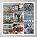 Buscar erizo de mar posters Océano