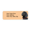 Buscar cocker spaniel negro Perros