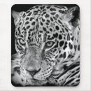 Buscar jaguar alfombrillas de raton Mamífero
