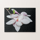 Buscar magnolia blanca puzzles Primavera