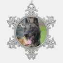 Buscar malinois belgas adornos General y unisex