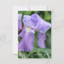 Buscar bastante florales tarjetas Naturaleza