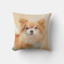 Buscar chihuahua cojines Cachorro