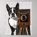Buscar boston terrier arte Dog