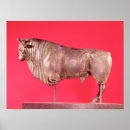 Buscar cuernos de toro posters Animal