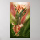 Buscar calla lilies arte Ramo de flores