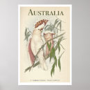 Buscar australia arte Acuarela