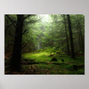 Buscar maderas arte Bosque