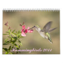 Buscar colibrí calendarios Flor