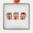 Buscar cuerpo humano adornos Horizontal