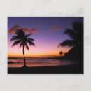 Buscar de hawaii postales Palmera