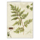 Buscar elementos naturales postales Hiedra