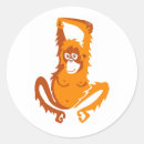 Buscar orangutan pegatinas Borneo
