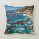 Buscar big cojines Danita delimont