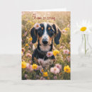 Buscar recuperate tarjetas Perro