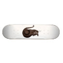 Buscar alicia tablas de skate Carroll