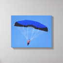 Buscar skies posters Aventura