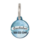 Buscar celestial collares Perros